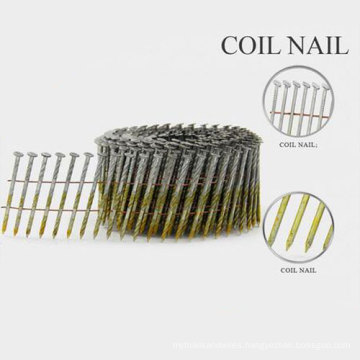 Hot Selling Stainless Steel Coil Nai with Nice Price